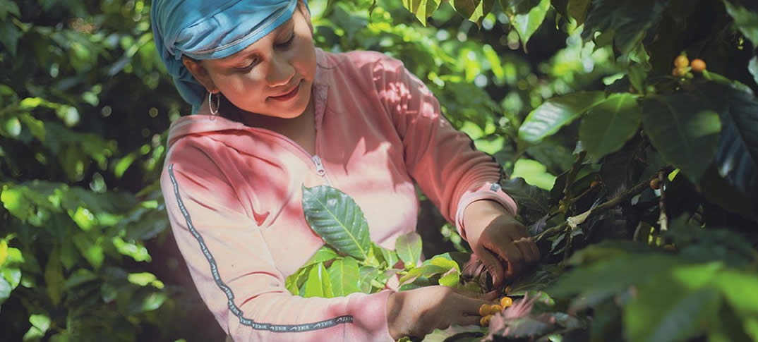  trabajadores agrícolas inmigrantes