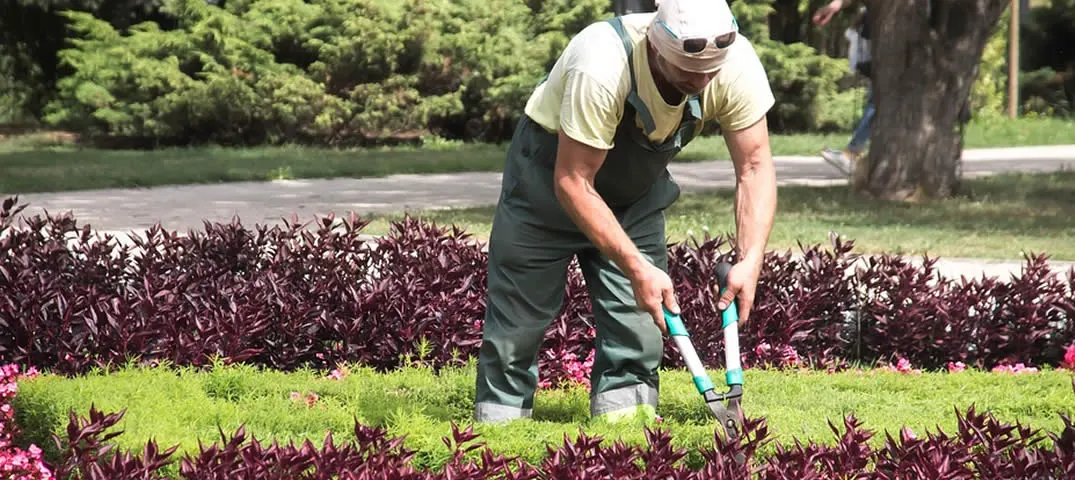 Seasonal Immigrant Workers  