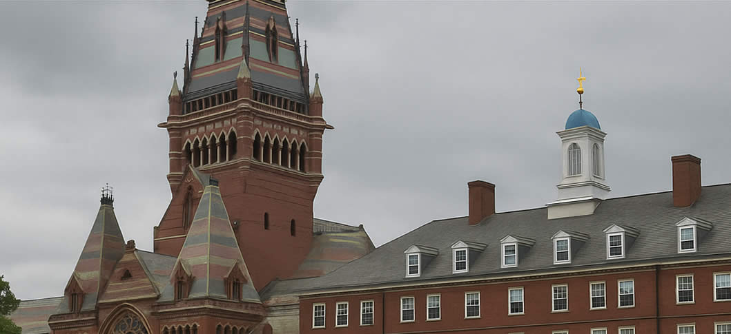 Harvard estudiantes internacionales 